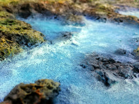 예술가에게 영감을 주는 곳. 제주!