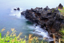 예술가에게 영감을 주는 곳. 제주!