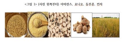 오태광의 바이오 산책 <47> 지속 가능한 농업기술, 어그테크(AgTech)