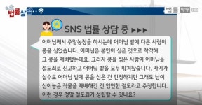 내 주말농장에 다른 사람이 잘못 심은 농작물, 소유권은 누구에게... 선의의 점유와 절도죄