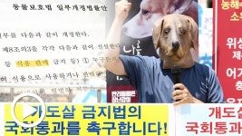 [영원한 평행선, 개 식용 논란 ④] 개 농장 한국밖에 없어... 보신탕 금지법 발의는 됐지만