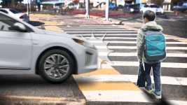 아파트 단지, 대학교 구내 등 도로 아니어도 멈춰야... 보행자 우선도로 신설