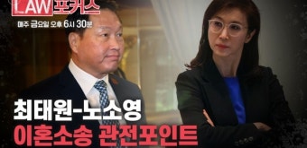 [LAW 포커스] 법조계가 본 최태원-노소영 이혼소송 쟁점