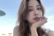 한예슬 기사에 '양아치·날라리' 댓글 단 40대, 모욕죄 인정 벌금형
