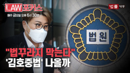 [LAW 포커스] 일단 도망쳐... 음주운전 사법방해 대책 절실