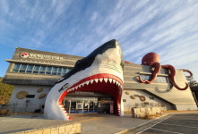 저무는 한 해...땅끝에서 희망을 건지다 [영상 기행]