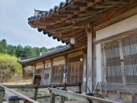 면역력 키우는 산림...가평 잣향기 푸른숲 [영상기행]