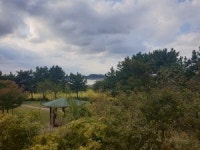 시대의 ‘탁류’ 풍자로 건너...‘채만식 문학관’ 찾다 [영상기행]