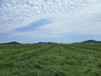 무안 해제 반도 들판과 황톳길, 그리고 동학농민혁명의 흔적