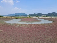 1호 순교사적지 염산교회 지나서 설도항 아침 풍경 만나다