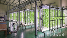 영농 스타트업 원동안골농장, 양액 제조·재활용 기술 앞세워 공주 대표 스마트팜 업체로 각광