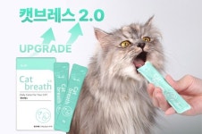 닥터바이 고양이 기관지 영양제 캣브레스 2.0 리뉴얼 출시