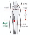 대지(大地)의 따스함으로 생명을 채우다