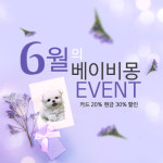 다양한 강아지 분양이 가능한 애견 전문 베이비몽