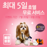 강남, 수원, 안양, 부천 애견샵 베이비몽 강아지분양 시 휴가철 호텔서비스 제공