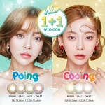 렌즈스토리 1만원대 컬러렌즈 포잉, 쿠잉 출시