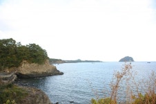 천지연폭포와 이중섭거리 관광 후 들릴만한 제주도 서귀포 흑돼지 맛집 “바다를본돼지 서귀포점”