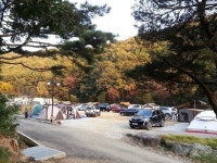 다누리골 오토캠핑장, 수도권에서 자연 느낄 수 있는 용인캠핑장으로 인기