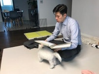 강아지 방문훈련 공인 1급 애견 훈련사와 함께 하는, ‘시우스쿨링’만의 맞춤 과외