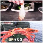 구룡포맛집 ‘대게본가’, 포항 바닷가에서 고급스러운 대게코스를 합리적인 가격으로 즐길 수 있어