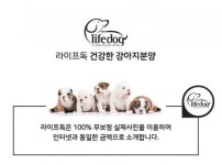 전국 6개 지점 운영 중인 애견분양샵 ‘라이프독’, 송도점 오픈 예정… 올해 15호점 오픈 달성 목표