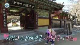 백양사 템플스테이 가격 및 위치는? 체험형 휴식형으로 나뉘어
