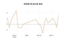 (국내주식)세종메디칼 22일 현재가 12,850원