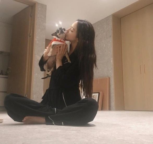 한예슬 반려견 렐레, 낙상 사고 속 진행 상황 공개 - 직원의 실수로 인해 낙상 확인