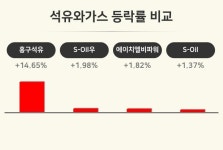 [석유와가스업종 마감 시황] 흥구석유 +14.65%·S-Oil우 +1.98%·에이치엘비파워 +1.82% 순