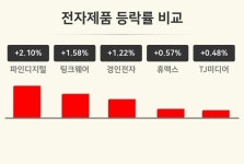 [전자제품업종 오후 시황] 파인디지털 +2.10%·팅크웨어 +1.58%·경인전자 +1.22% 순