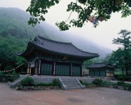 서울 근교 여행지를 찾는다면 용문사·양떼 목장·두물머리 등 볼거리가 가득한 양평 가볼만한 곳으로 떠나보자. 