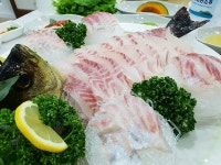 조천읍 함덕해수욕장 ‘대박횟집’, 오션뷰 갖춘 제주도 맛집으로 눈길