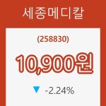 (주식시장)세종메디칼 24일 현재가 10,900원