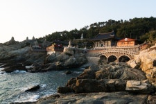 여름철 휴가지를 찾고 있다면 해동용궁사·해운대·광안대교 등 낭만을 즐기기 좋은 부산 가볼만한 곳 총정리
