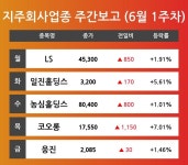 [6월 1주차 지주회사 테마 리포트] 주요 종목 LS, 일진홀딩스, 농심홀딩스, 코오롱, 웅진 등…다음주 상승 종목은? 