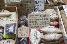 무더위가 오기 전 대구 여행을 떠난다면? 이월드·서문시장·김광석길 등 대구 가볼만한 곳 총정리 