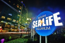 SEA LIFE 부산아쿠아리움, 2019 고객만족브랜드대상 및 트립어드바이저 ‘으뜸시설’ 선정, 겹경사