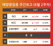 [6월 2주차 태양광 테마 리포트] OCI, KCC, 신성이엔지, 오성첨단소재 등 견인 