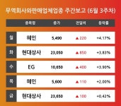 [6월 3주차 무역회사와판매업체 업종 리포트] 혜인, 현대상사, EG 순 강세 