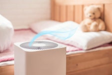 작은 입자에 폐를 거쳐 혈관까지? 초미세먼지를 막기 위한 방법…공기청정기와 미세먼지 정화식물은?