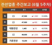 [6월 5주차 전선 테마 리포트] LS, 대원전선, 가온전선 등 주도 