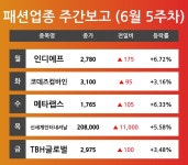 [6월 5주차 패션 테마 리포트] 인디에프, 코데즈컴바인, 메타랩스, 신세계인터내셔날, TBH글로벌 등 견인 