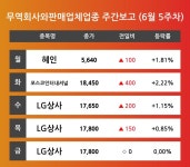 [6월 5주차 무역회사와판매업체 업종 리포트] 혜인, 포스코인터내셔널, LG상사 순 강세 