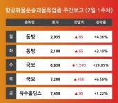 [7월 1주차 항공화물운송과물류 업종 리포트] 동방, 국보, 유수홀딩스 등 견인 