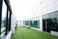 인천 애견카페 ‘머슬독’, 우리집 ‘댕댕이’가 신나게 뛰어놀 수 있는 ‘개캉스’ 핫플레이스