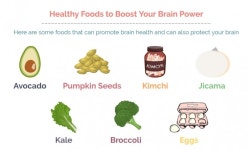두뇌 능력 향상, 이 음식들이 최고다