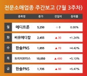 [7월 3주차 전문소매 업종 리포트] 주요 종목 메디프론, 씨유메디칼, 한솔PNS, 도이치모터스 등으로 나타나 