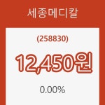 (국내주식)세종메디칼22일주가 전일대비 등락률 0.00% 등락 보고