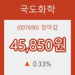 국도화학장종주가 변화에 주목, 전일대비 0.33% 마감