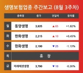 [8월 3주차 생명보험 업종 리포트] 주요 종목 동양생명, 한화생명, 미래에셋생명 등…다음주 상승 종목은? 
